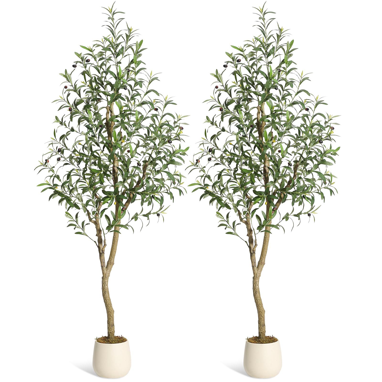 Image of Artificial Olive Tree Realistic Olive Plant With White Pot Moss And Olives Tall Evergreen Fake Tree For Living Room Garden Front Door Decor