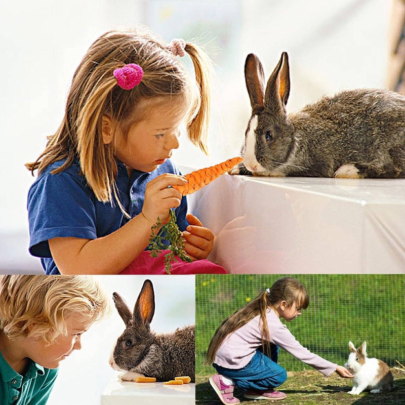 Natural Timothy Toys, 11pcs Snacks Chew Toys, Pet Chew Treats Guinea Pigs, Rabbits, Bunny, Chinchilla, Hamsters, with Timothy/Loofah/Carrot Hanging Toys