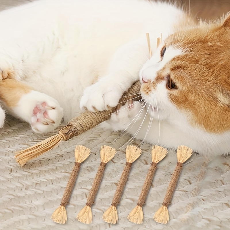 6pcs Dental Sticks Cat Teeth Health Martataiba Toys, Durable Rattan Kitten Teething And Play Toys: retailer-supplied image