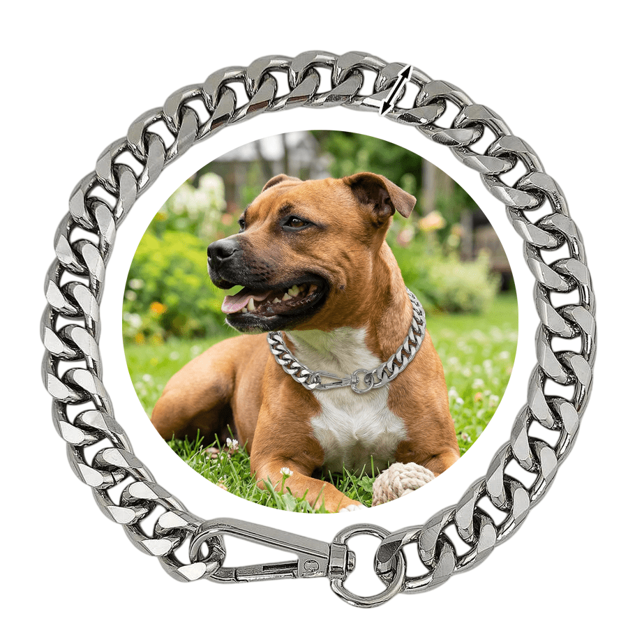 Punk Style Alloy O-Chain Dog Collar for Pets
