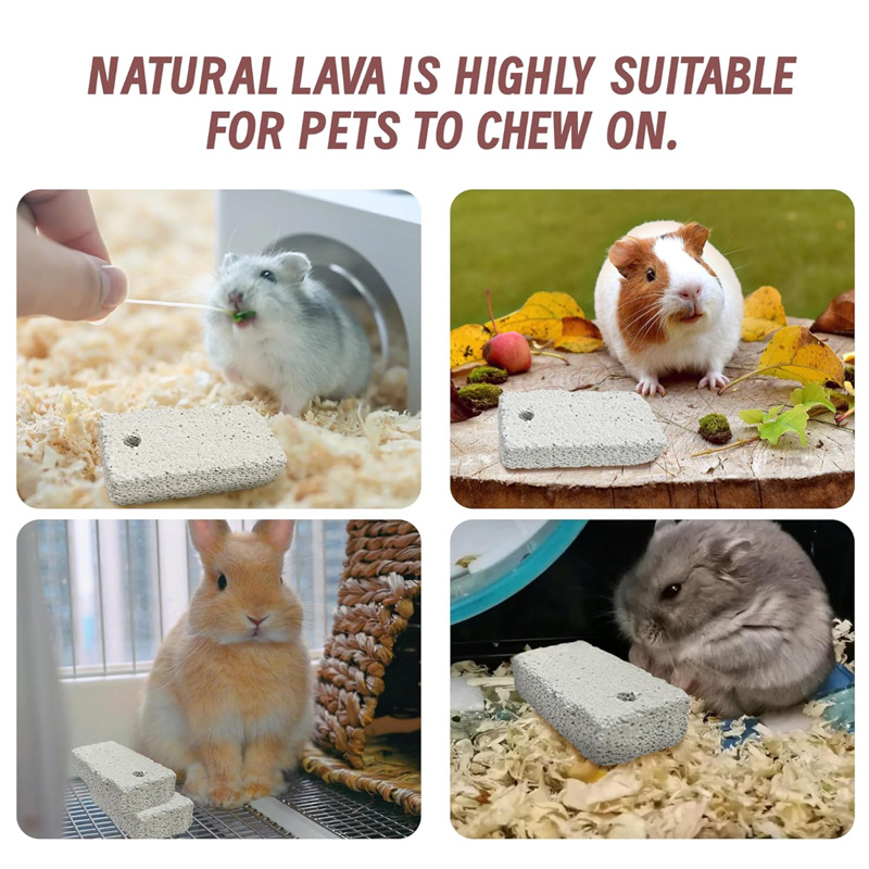 4pcs Natural Mineral Volcanic Rock Chew Stones for Small Animals