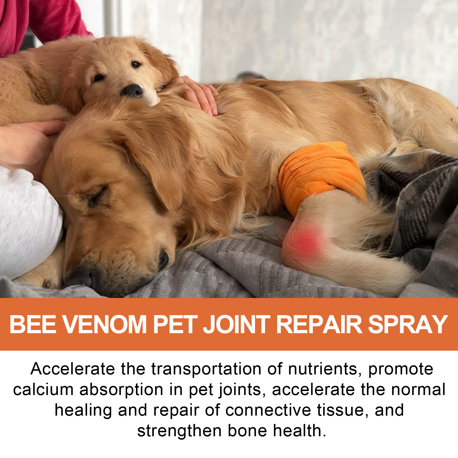 20G Pet-Specific Joint Care Spray, Gentle Topical Spray, Easy And Convenient to Use, Helps Flexible Joints, Enhances Mobility, Suitable for Cats And Dogs And Other Pets, Home Long-Term Care, Caring for Pet Bone And Joint Health, Without Battery