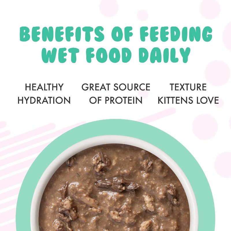 safematerial high quality kitten, chicken tuna   gravy,   oz can pack of 12 pet   Product details 5