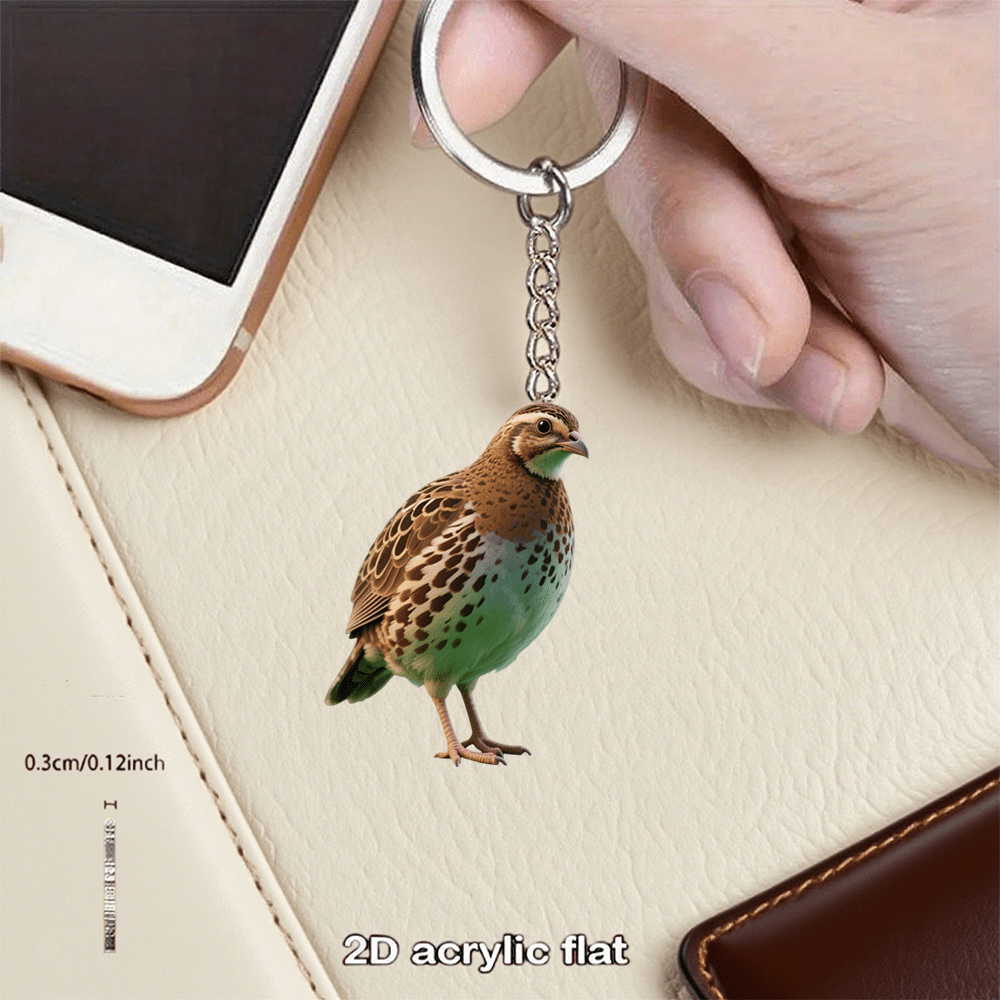 E-shop 2D-Flach, . 2D-flacher Acryl-Schlüsselanhänger, geeignet für Taschenanhänger, Autoschlüsselanhänger, Rucksäcke, Hochzeiten, Geburtstage,