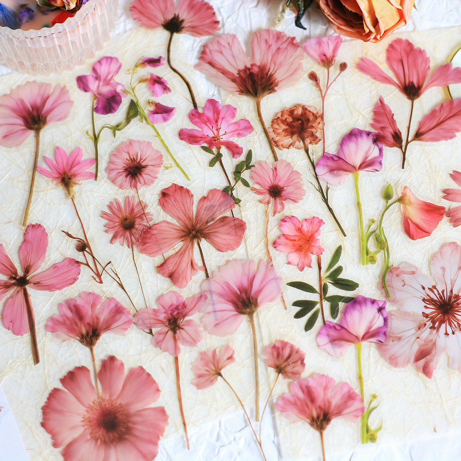 Image of 50pcs Transparent Pressed Flower Stickers For Scrapbooking Floral Stickers For Journaling Scrapbooking Clear Flower Decals