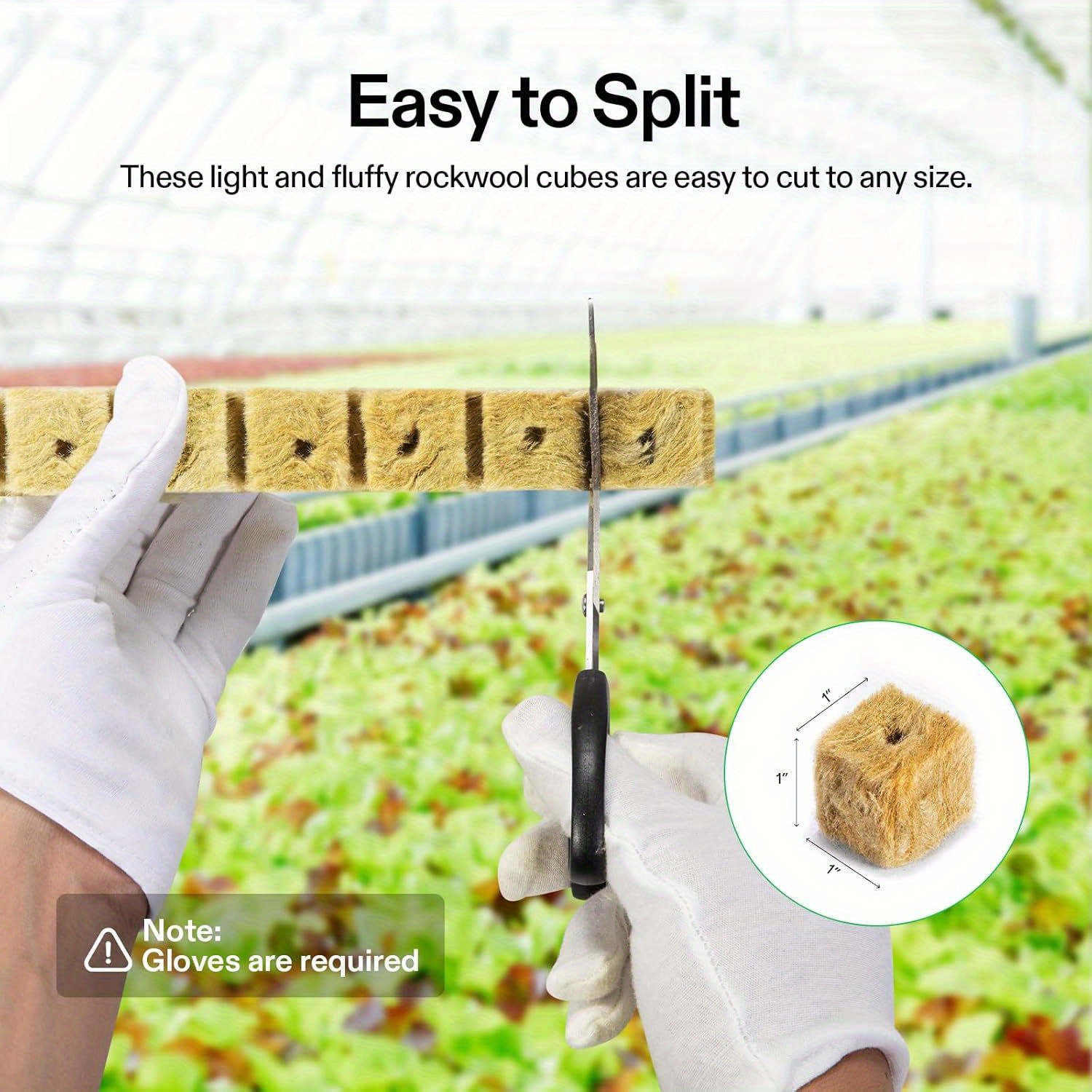 (200 plugs in total) 4 sheets   grow cubes for rooting,  , clone plants, starting seeds, ideal   for hydroponic growing details 4