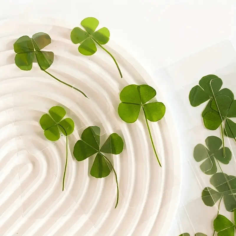 

10 Clover Postcards - Transparent Wishing Cards, For Bookmarks And Decoration, Gift