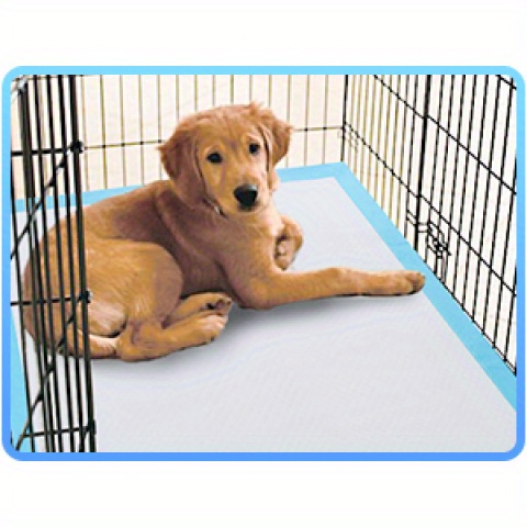 Puppy resting on a disposable pad inside a crate