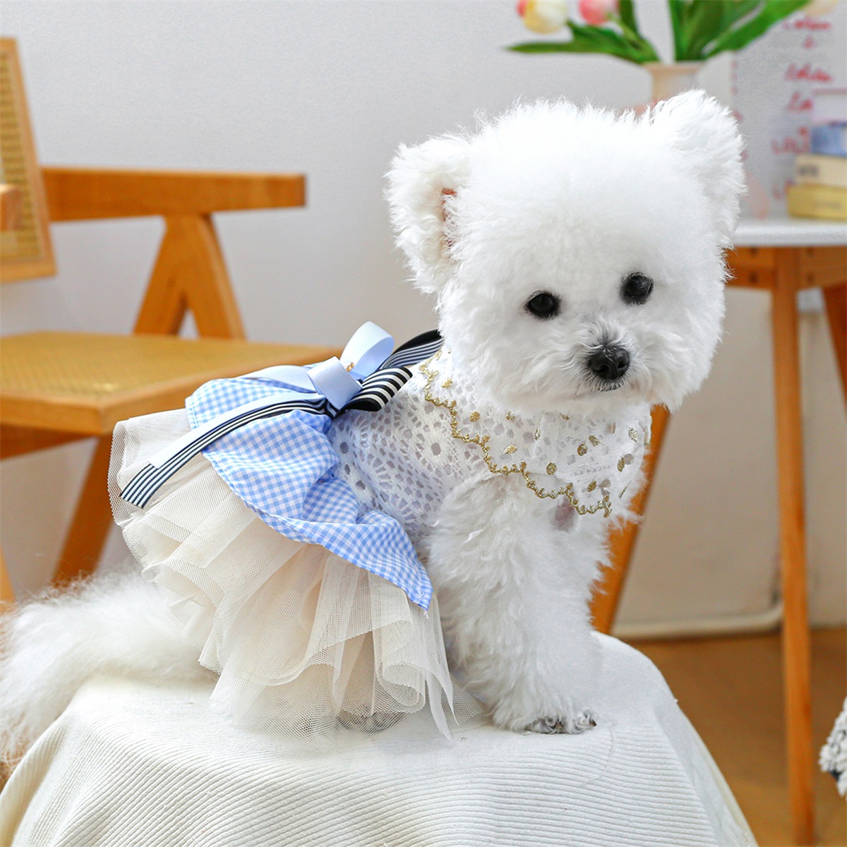 white christmas dresses Sweet Heart Dog Dress main image 1