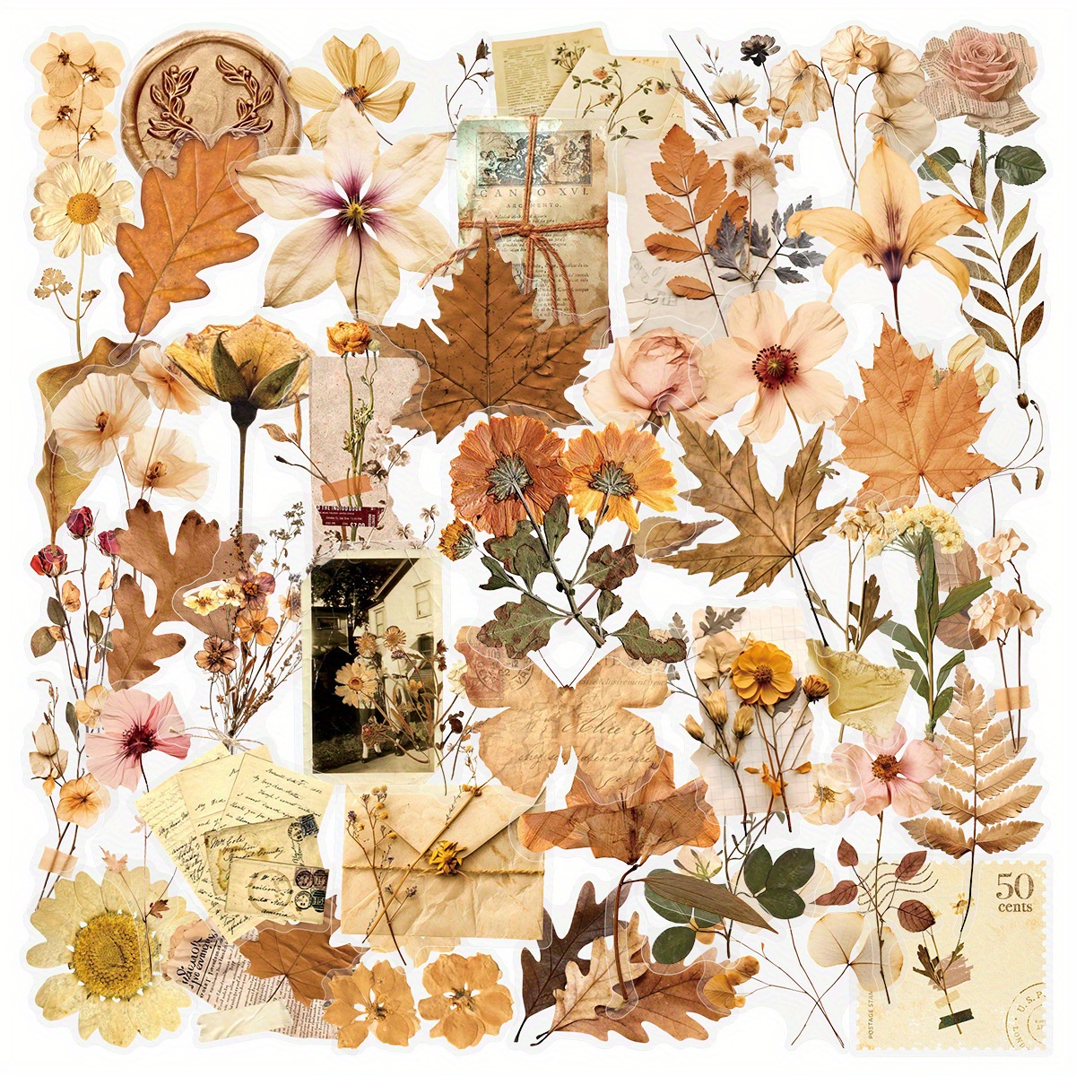 Image of 53pcs Vintage Dried Flower And Leaf Pressed Specimen Stickers, Leaf Specimens Stickers Aesthetic Decorative Stationery, Craft Stickers, Beige And Brown Tones For Scrapbooking, Journals, Phone Cases