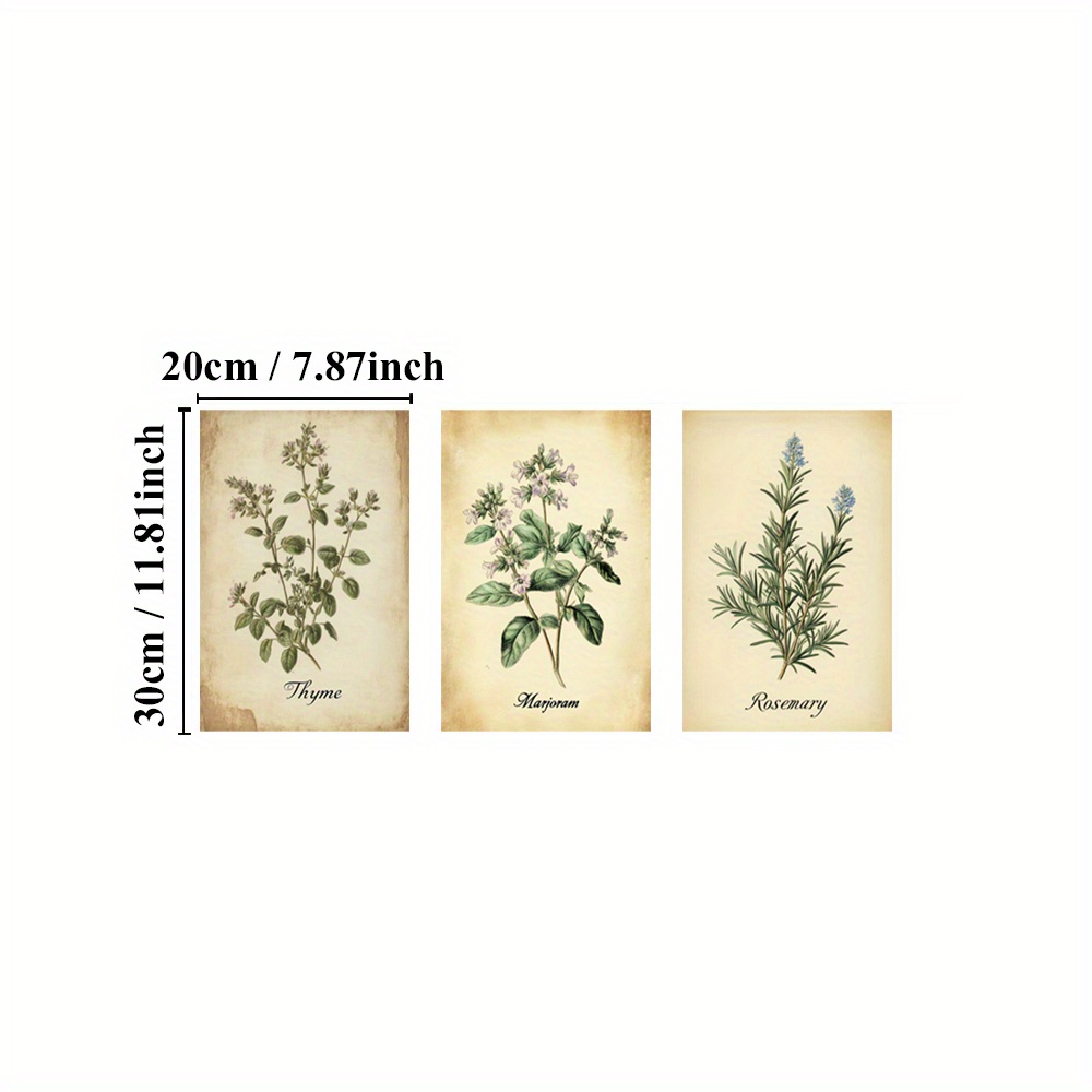 TEMU 3pcs Framed Herbal Posters - Vintage Botanicals Canvas Wall Art Prints With Thyme, & Rosemary, Ready-to-hang Indoor/outdoor Decor For Kitchen,