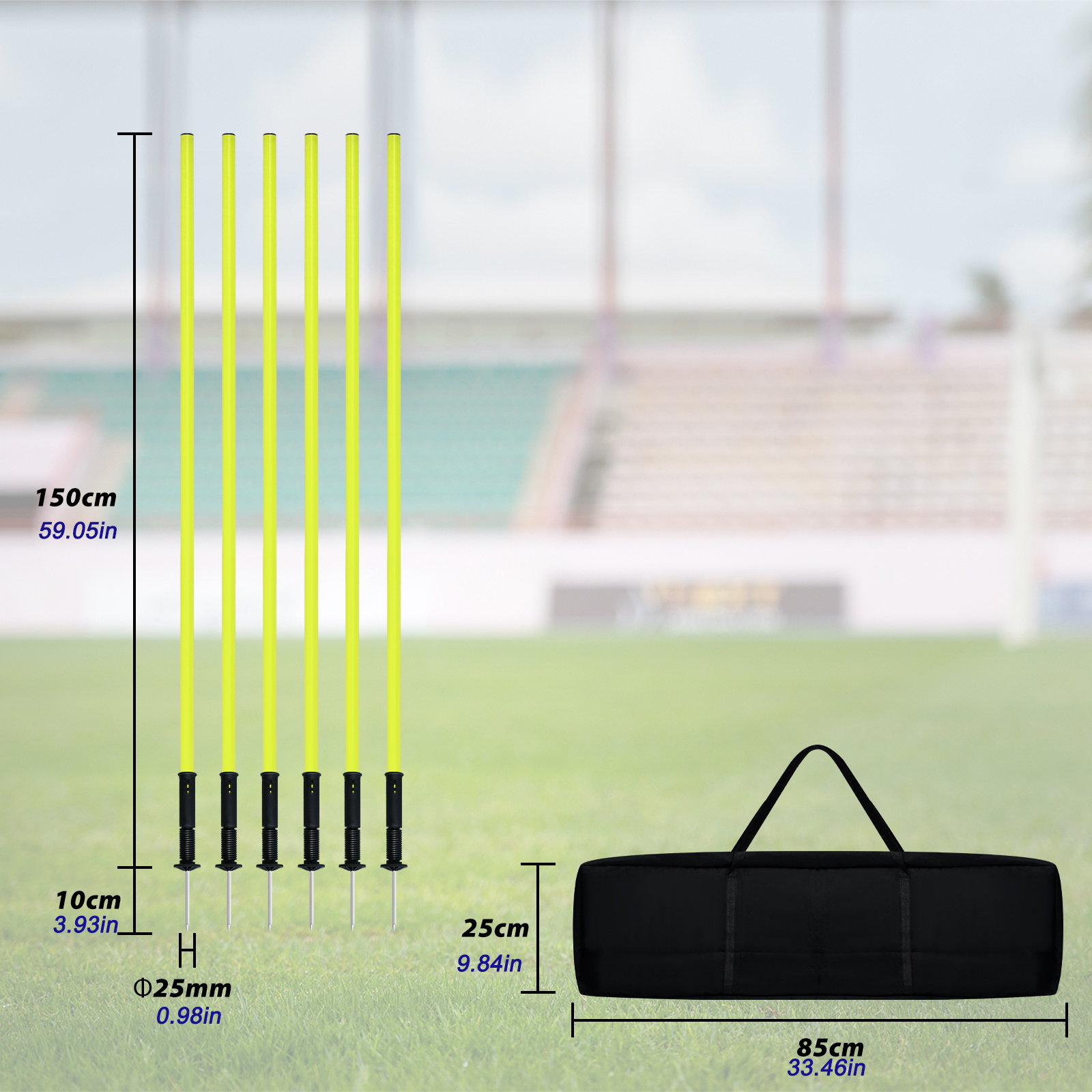 TEMU 6 Slalom Poles Agility Poles Training Poles With Steel Tips And Carrying Bag