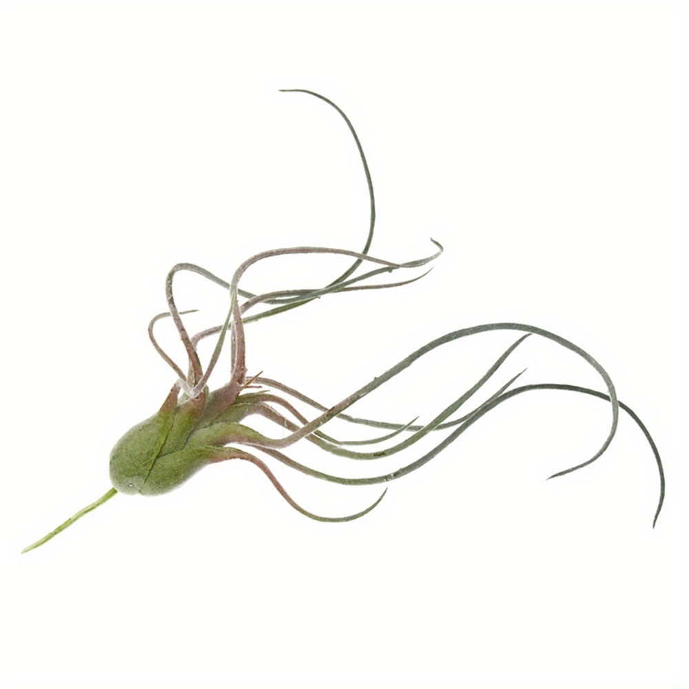 1pc Lifelike Succulent Air Plant - Plastic Decorative Artificial For