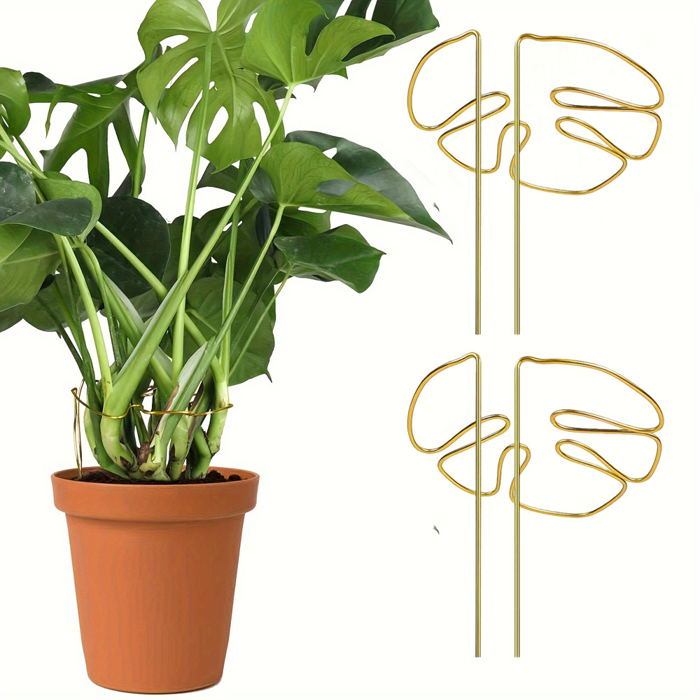 E-shop 1/2 Stk. Goldene Edelstahl Pflanzenförmige Stützringe, Geeignet für Monstera und Bambus - Metalllegierung Blatt Pflanzenstiele für - und