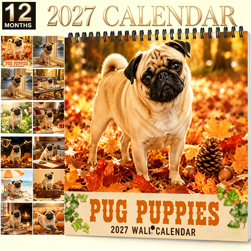 TEMU Calendrier 2027 - Planificateur Mural Mensuel 8,3x8,3 Pouces avec Papier Épais, Convient pour la Décoration de et du Bureau, Calendrier Suspendu