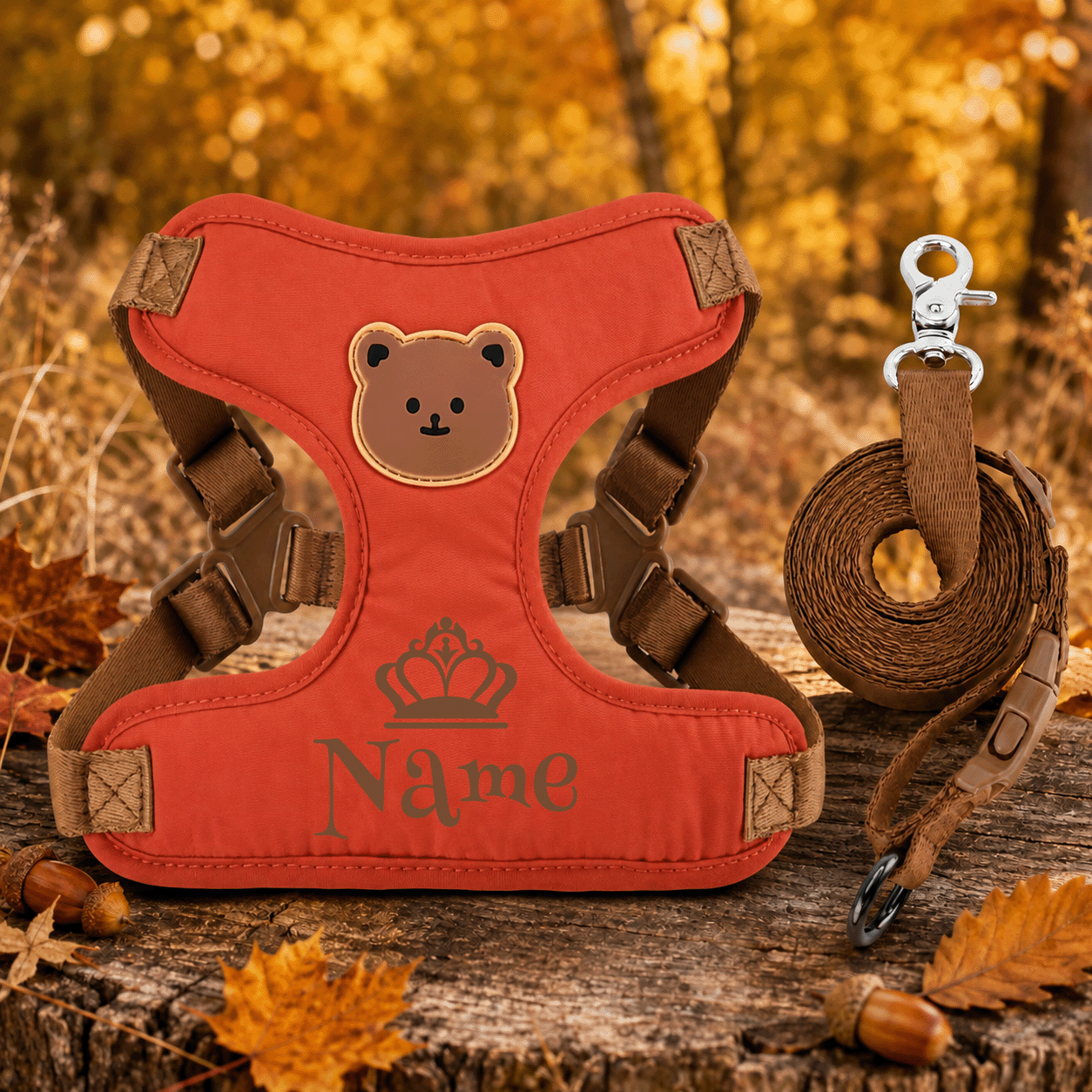 Personalized Name Pet Harness and Leash System for Small Pets