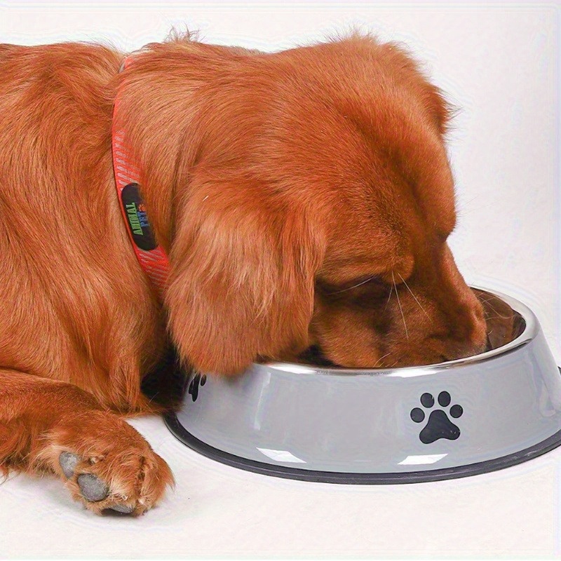 Customizable 2pcs Stainless Steel Pet Bowl Set with Non-Slip Base