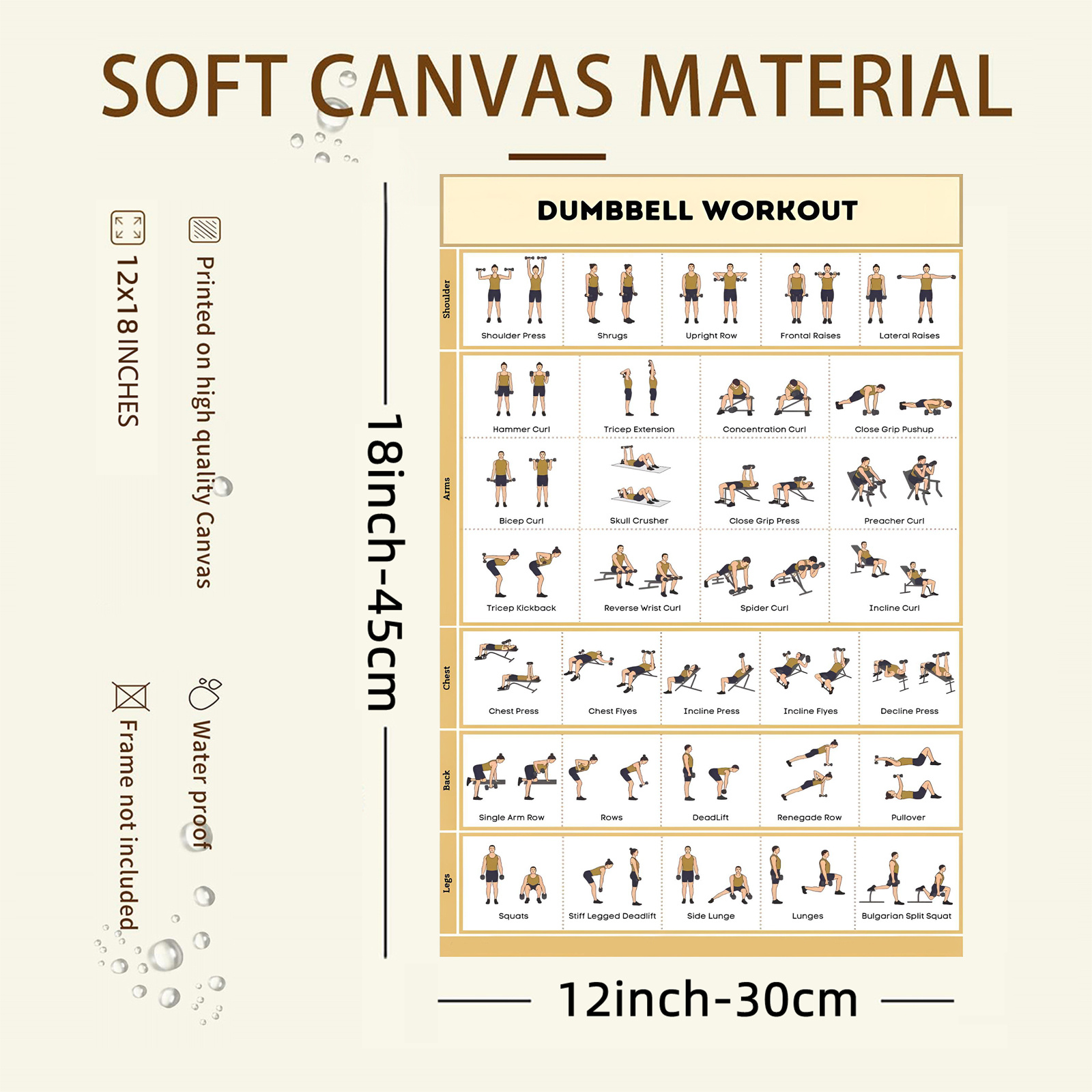 dumbbell-workout-poster-frameless-dumbbell-workout-poster-temu