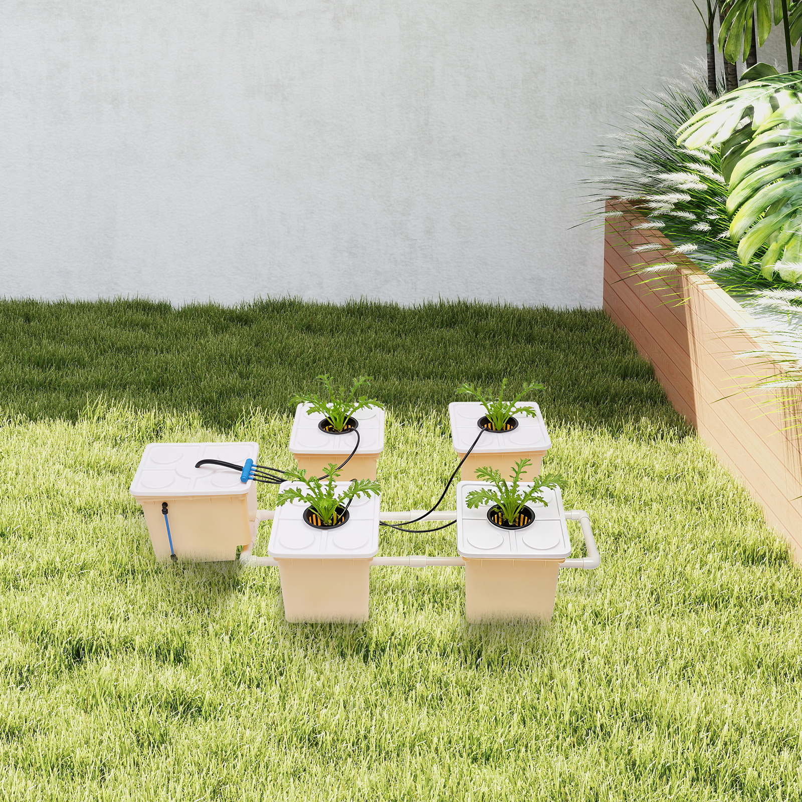 Image of 5 Bucket Dutch Hydroponic Kit Vegetable Growing System With Seedling Tray For Home Balcony Indoor Outdoor Use