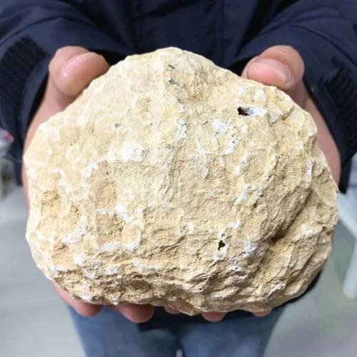 ongeopende agaat geode ei - preppy rotskristal cluster grot ruw specimen, creatieve geologische cadeaus, huis kamer woonkamer kantoor decor, kristalformaties, wetenschappelijk specimen, unieke verzamelobjecten