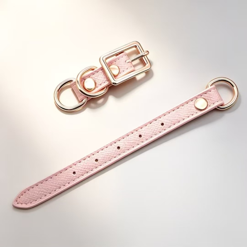 Pet Collar DIY Accessories for Customization
