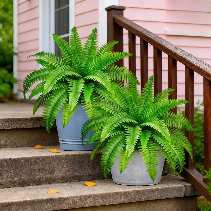 TEMU 2 Simulated Boston Ferns, With A Size Of 56cm/22 Inches, Are Very Suitable For Enhancing The Decoration Of Families, Offices, , Weddings,