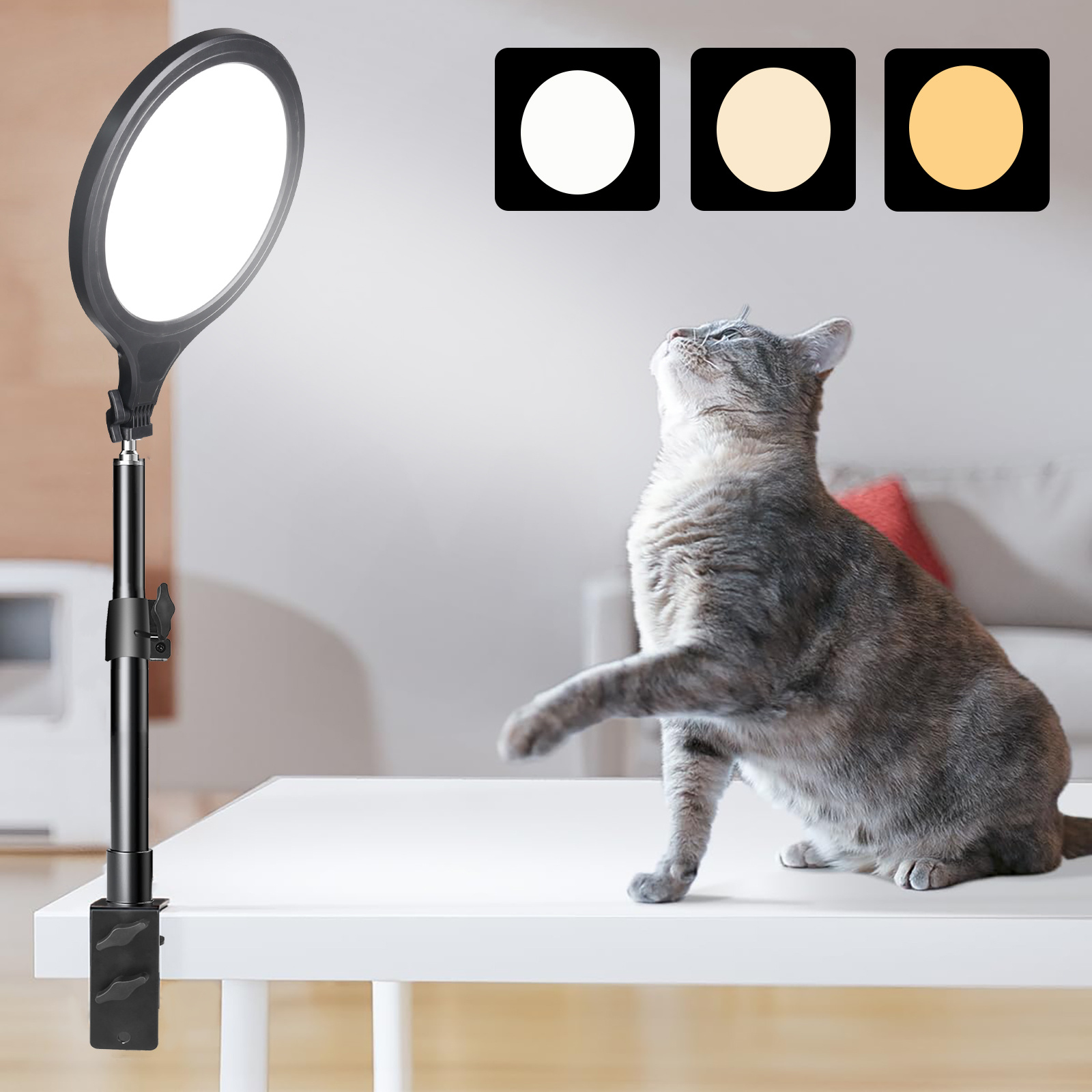 10 round led full screen zoom light phone stand usb powered Temu