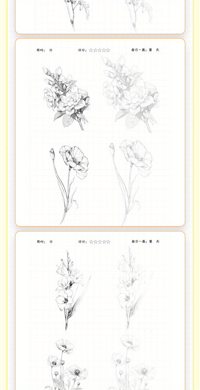 Flower Painting Pencil Line Drawing Copybook Chinese Version