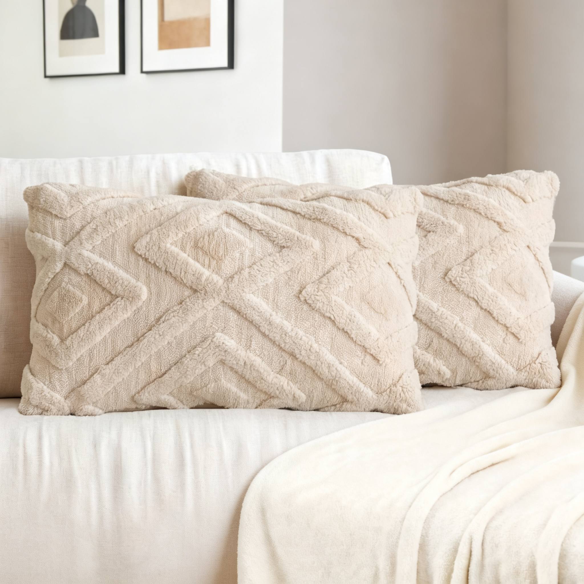 TEMU 2pcs Housses de coussin Boho Abstraites, Housses de coussin douces et moelleuses , Housses de coussin décoratives douces et pelucheuses pour