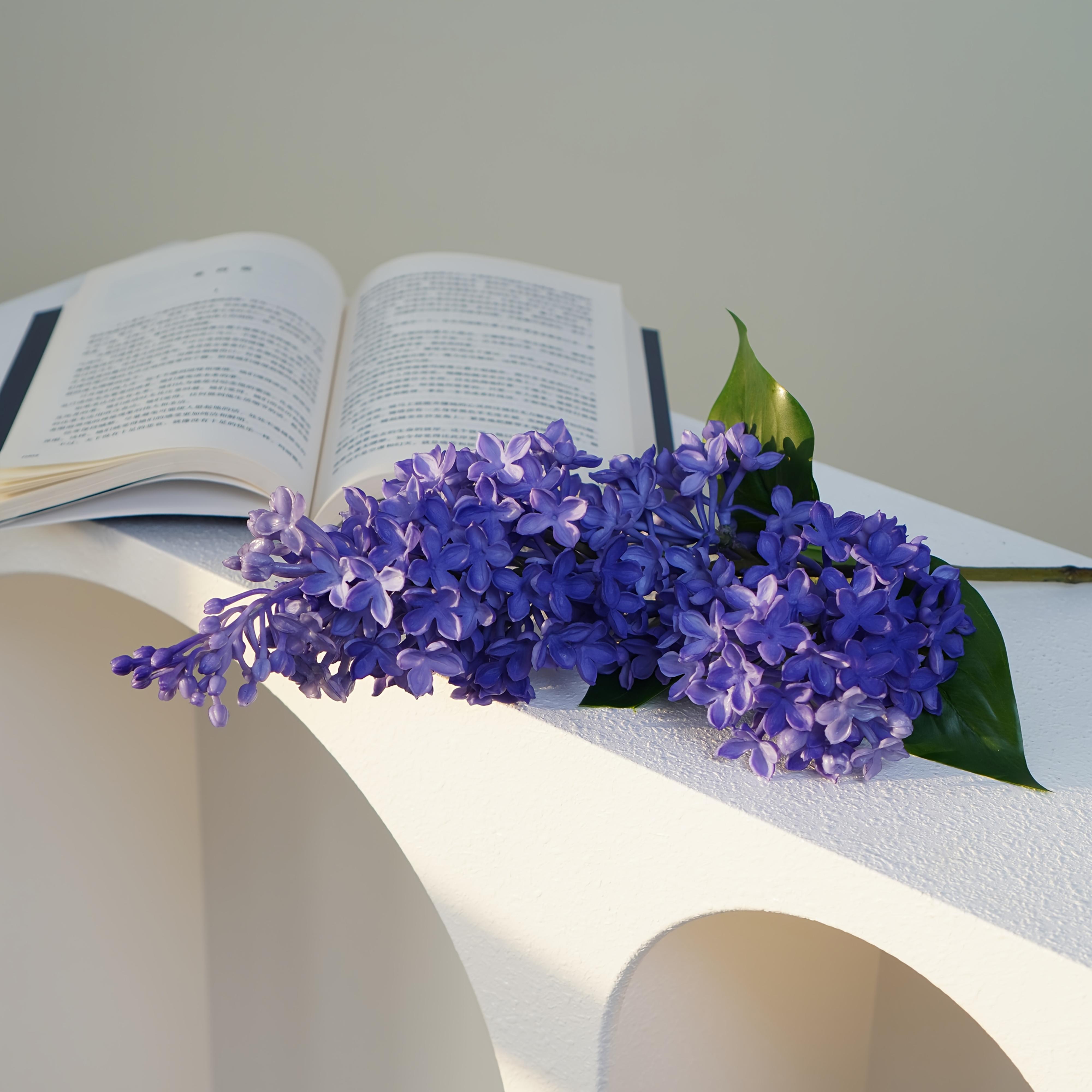 TEMU Artificial Lilac Have A Lifelike Feel, Are Resistant To Fading, And Are Easy To Care For And Clean. Are Perfect For Decorating Homes, Offices, And Hotels, Can Serve As Table Centerpieces
