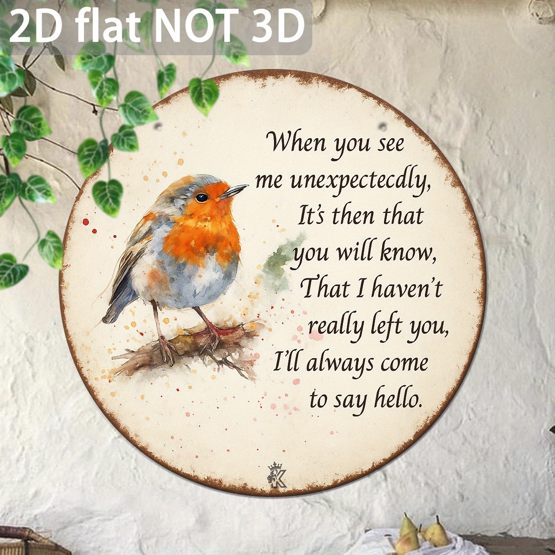 TEMU 2d Flat, 2d Flat, 2d Flat Metal Sign, 1pc, Funny Robin Sign, Vintage Aluminium Sign, Decorative Plaque & Statues (20.32cmx 20.32cm), Memorial