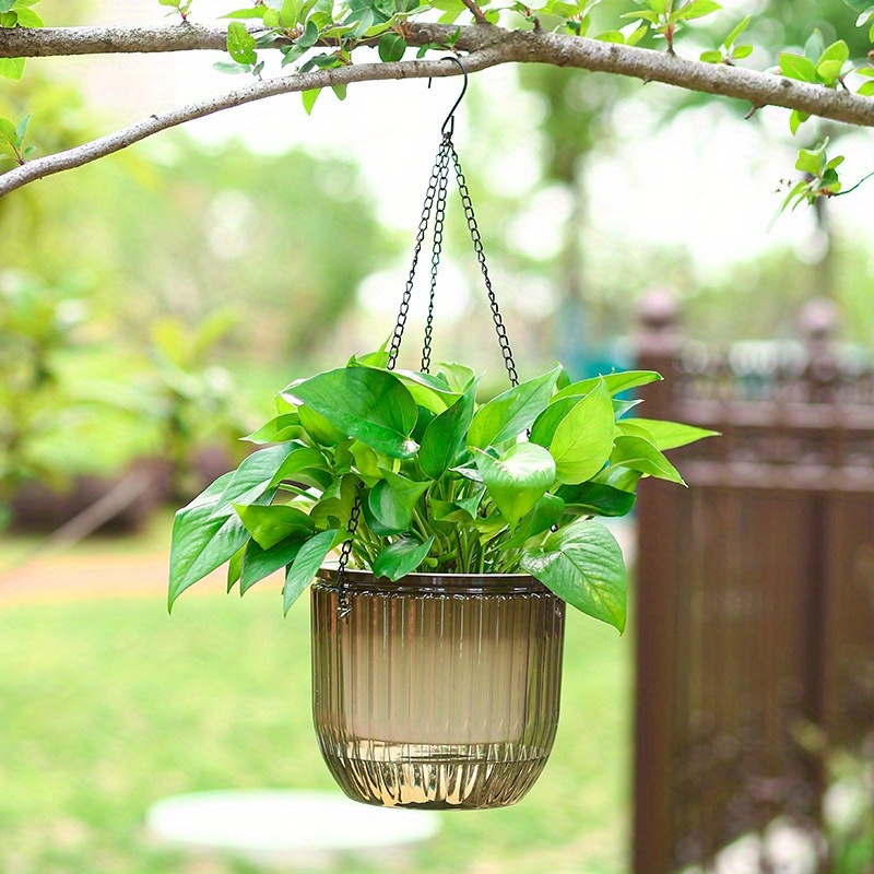 set 2 self watering hanging planters perfect growing pothos - Temu Qatar
