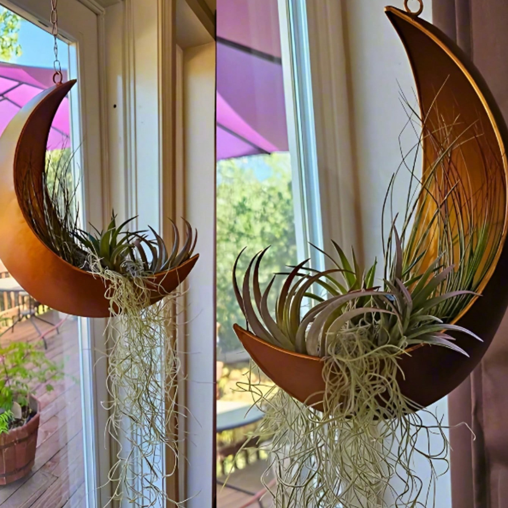 Boho Moon Wall Planter Metal Hanging Succulent Pot With Rope, Rustic Gold-black Finish For Indoor/outdoor Decor, Halloween Christmas Gift