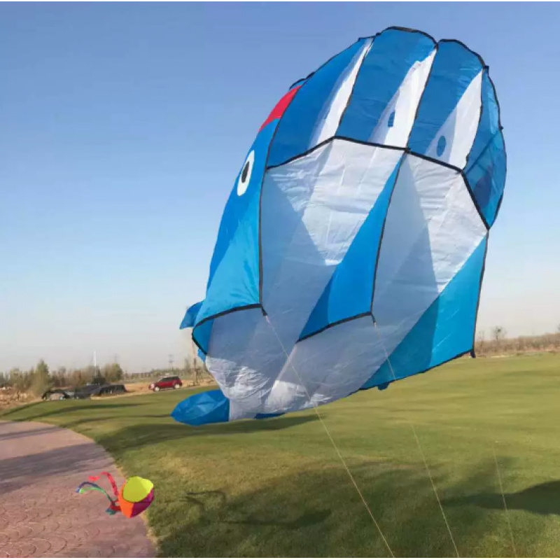 Image of Soft Kite, Whale And Dolphin Kite, Large Kite, In Light Wind, Durable And Vivid, Perfect Outdoor And Beach Game, With A Reel Included