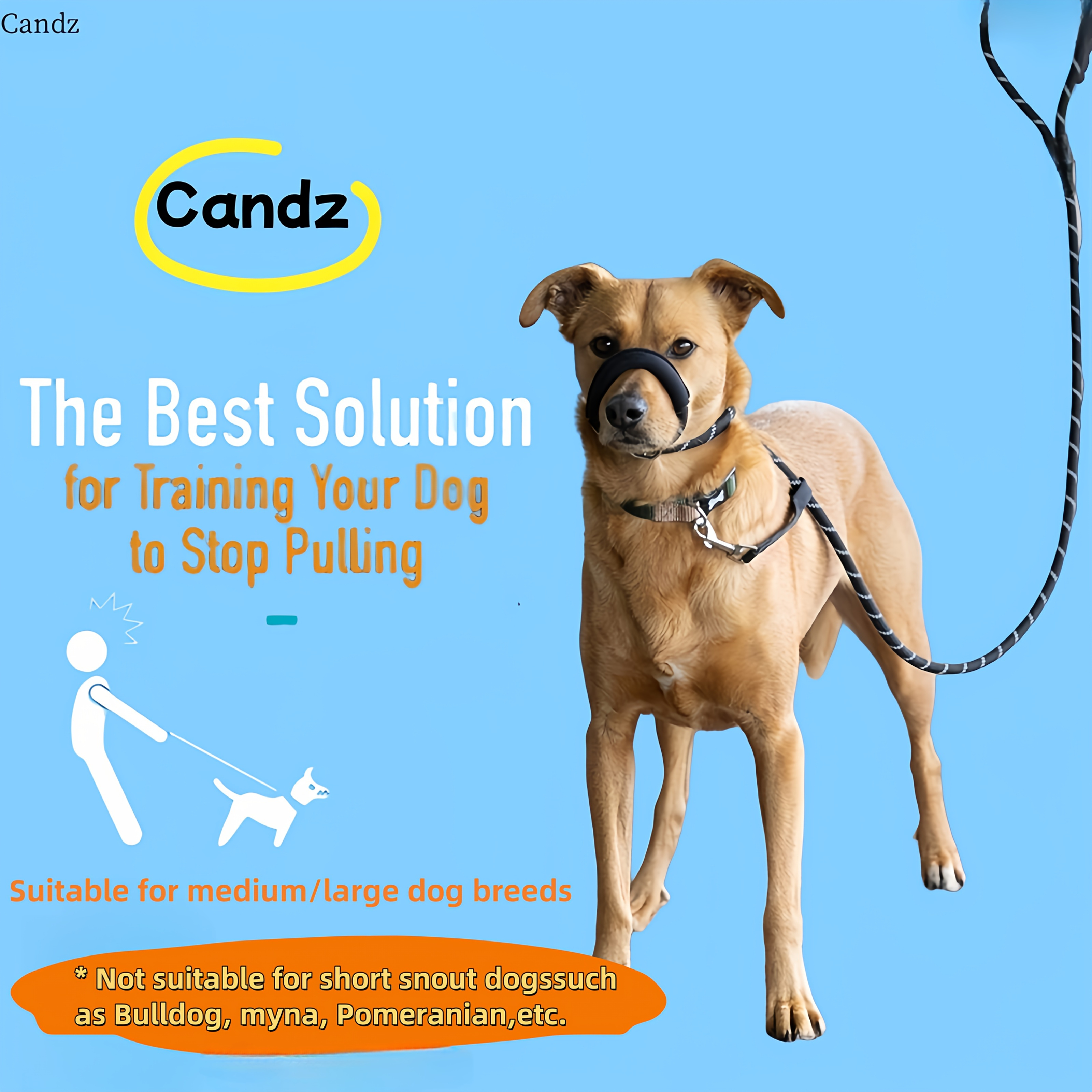 8 character dog leash anti pull prevents dog pulling padded - Temu Mauritius