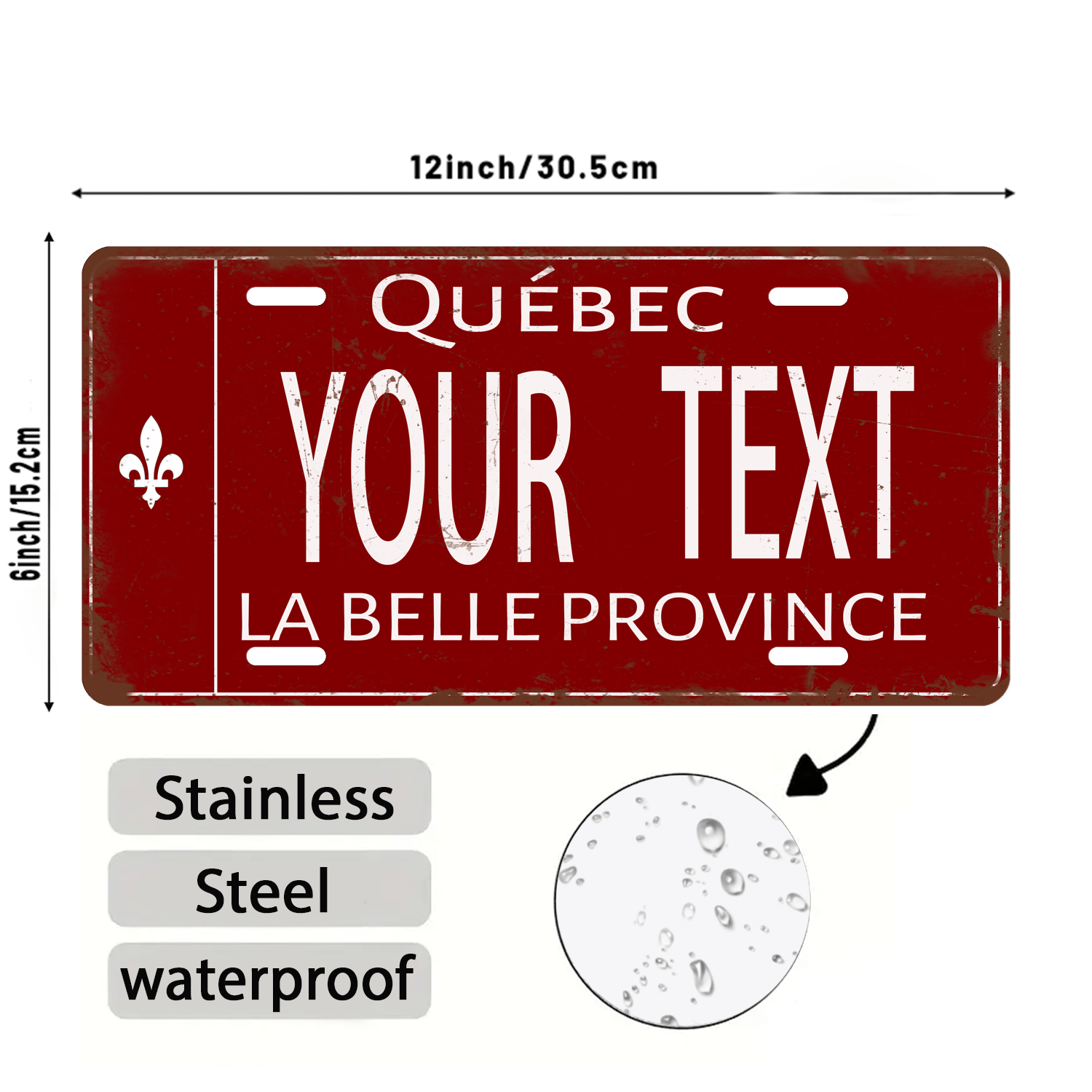 Customizable Stainless Steel Quebec License Plate - 6x12