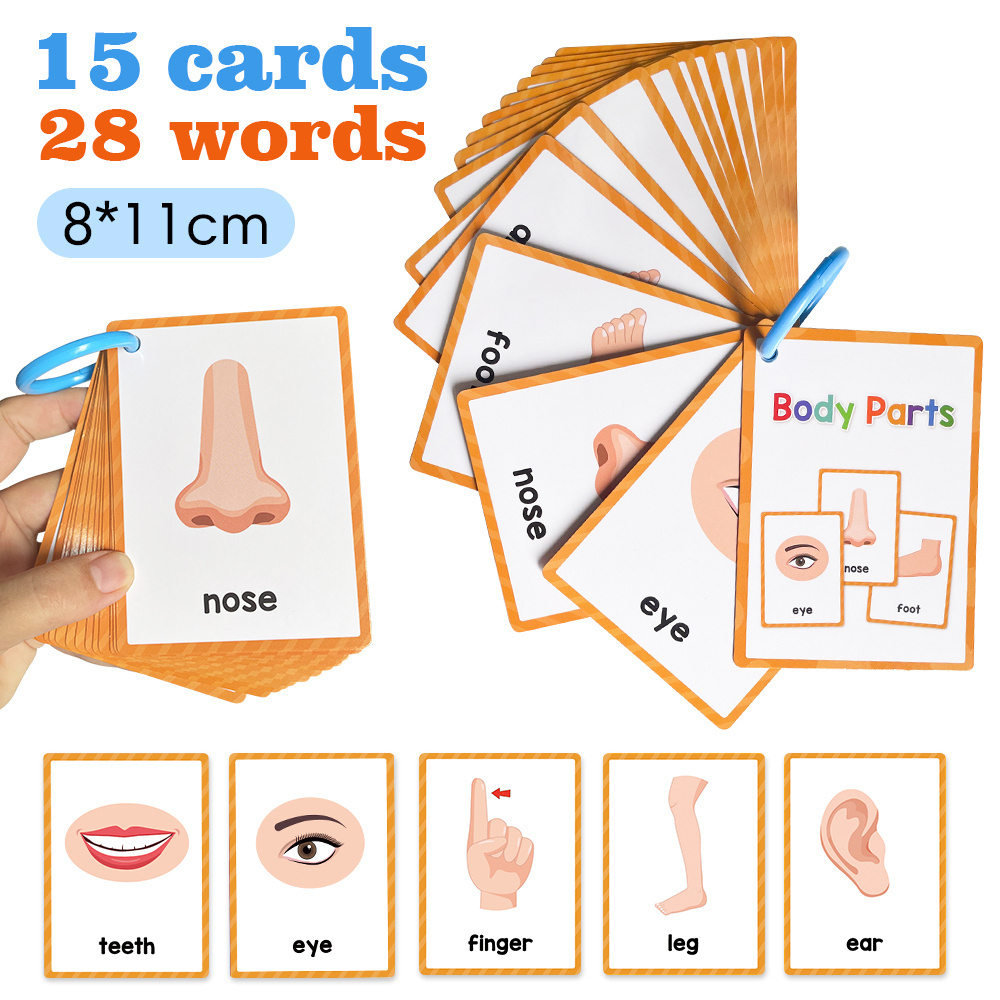 Image of Flash Cards Cognitive Flashcards For Kids , Body Parts, Fruits, Foods, Clothes, Occupations, Transportation Educational Toys Preschool Kindergarten Learning Activities
