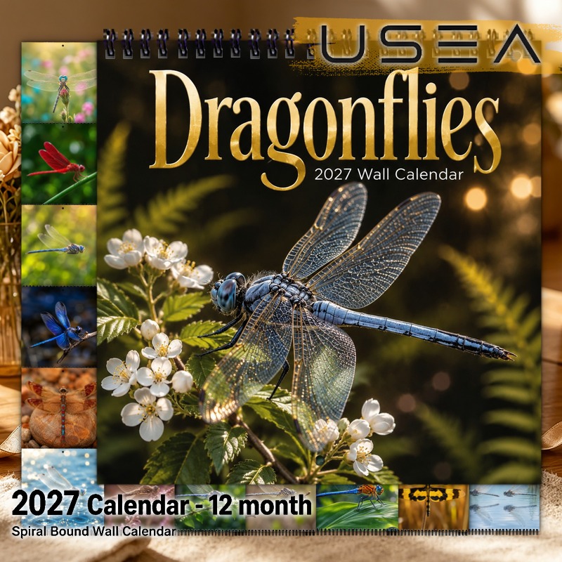 TEMU Calendrier Mural Suspendu Grand Format 2027 à Écrire - Agenda Annuel 12 Mois avec Reliure Spirale à Double Fil, Grands Blocs Mensuels & Motif