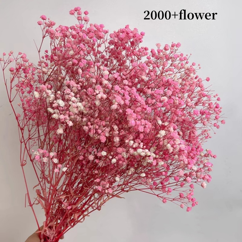 TEMU di cielo stellato artificiale rosa 2000+ - adolescenziale, per vaso, matrimonio, ufficio , decorazione per feste, giardino, creazione di