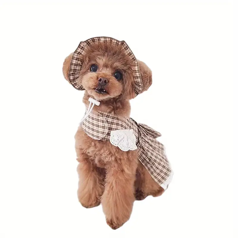 puppy girl checkered dog dress matching hat lace trim frilly - Temu puppy girl checkered dog dress matching hat lace trim frilly - Temu