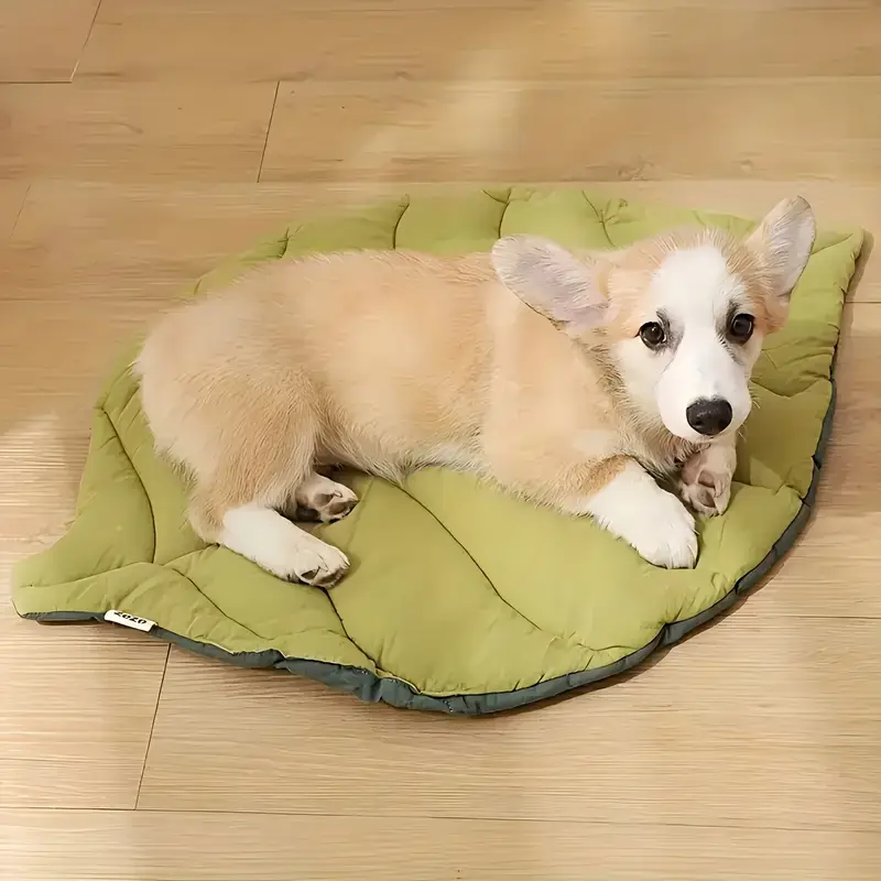 1 soft washable leaf shaped pet mat for non slip bite resistant polyester bed with removable cover rectangular sleeping mat for and sleeping pad Product details 2