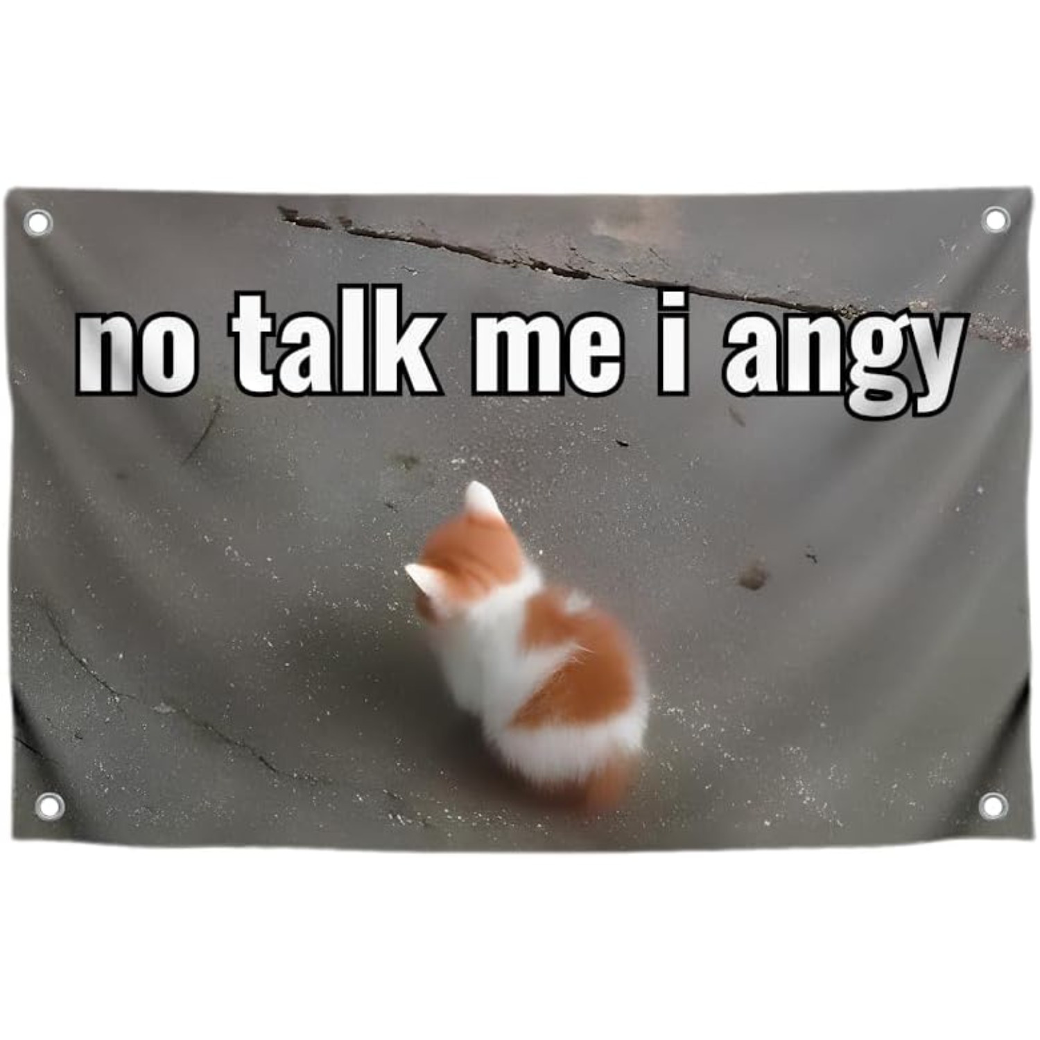 Katzen-Meme-Flagge 90x150 Cm – Lustiges Banner Fürs Zimmer