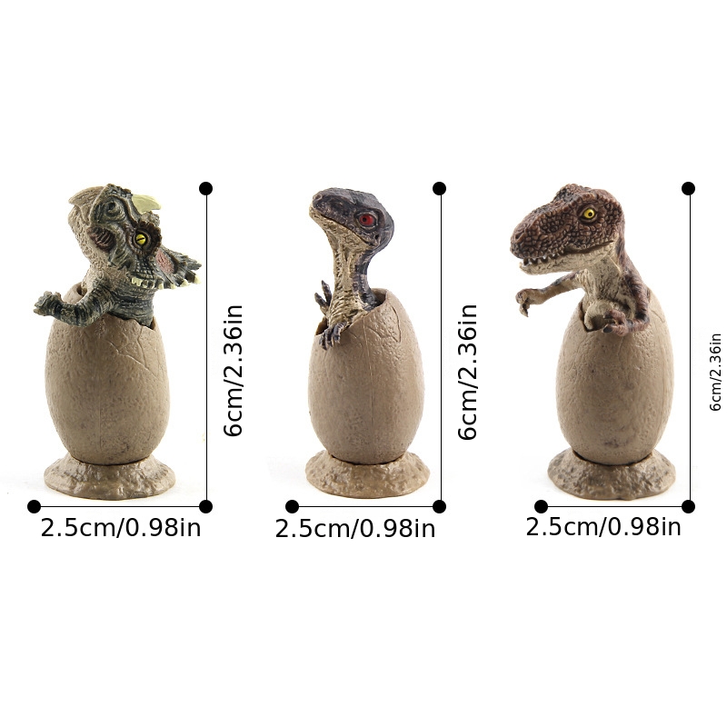 5pcs Dinosaur Egg Set with Display Base for Collectors
