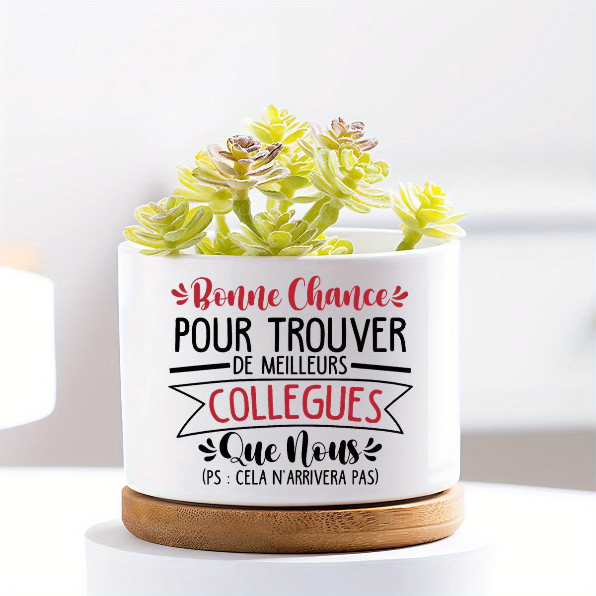TEMU Vase de jardin - Cadeau pour collègue - Cadeaux pour femme amoureuse des plantes - Jardinières d'intérieur décoratives, pots pour plantes