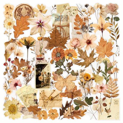 50pcs transparent dry flower leaf specimen stickers suitable for scrapbooking journals planners water bottles pet plastic sheets with realistic replicas irregular cutouts glossy