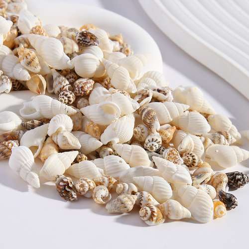 100pcs Assorted Small Natural Seashells – Conch Shells For Crafts, Bracelets, Decor
