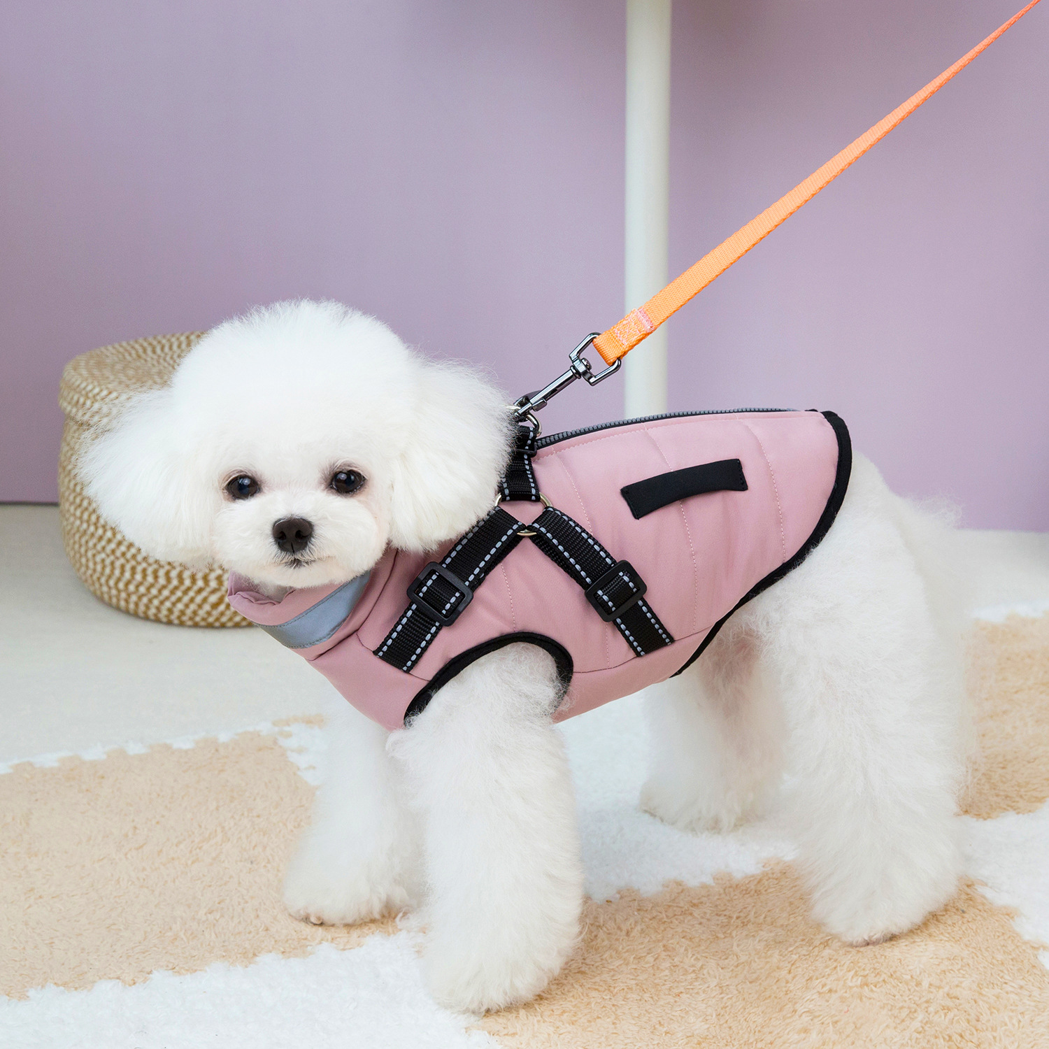 TEMU -border Autumn Winter Dog Casual Clothing Warm Reflective Casual Wear Thickened Dog Clothes Vest Jacket