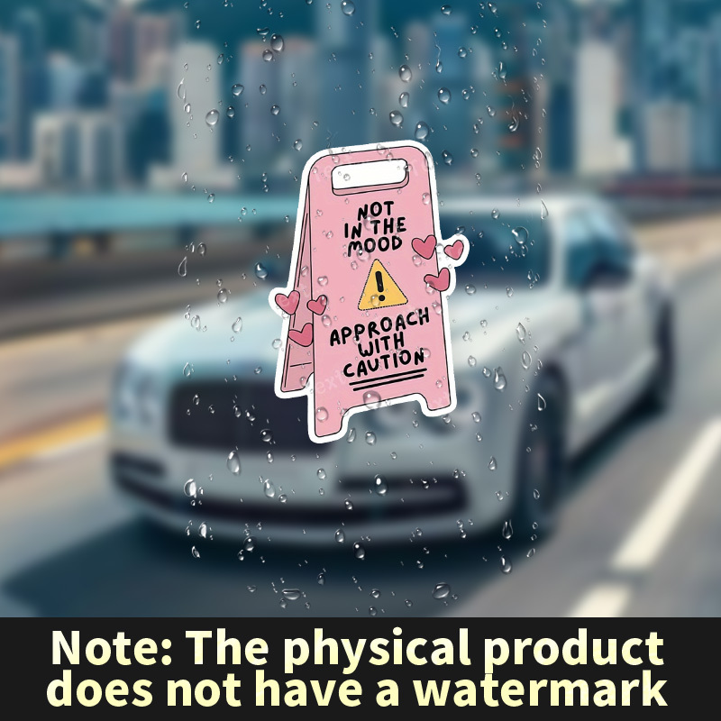 2pk Funny Warning Decal Sticker NO BRA & PAINTIES Vinyl Graphic 3M Trunk Car - Foto 11