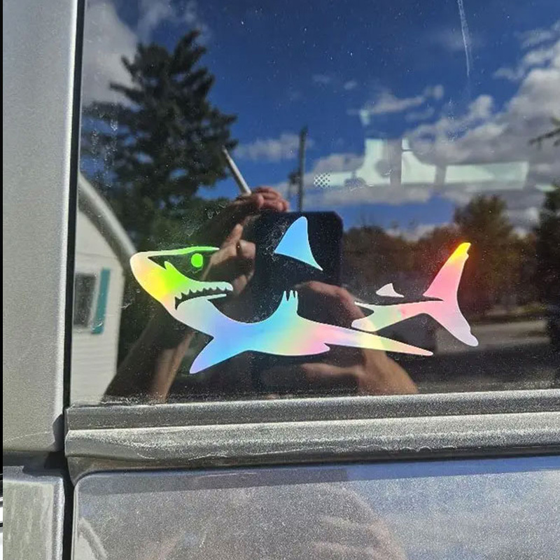 car decal back window sold on Temu Australia