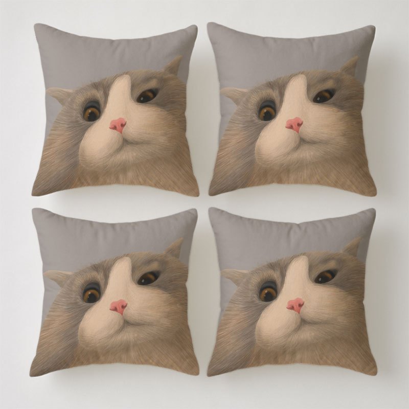 PRODUCTOS_ _POINT temu